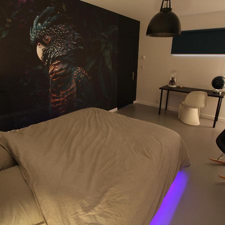 Bienvenue Chez Dalo, Jacuzzi, Art Et Modernite Apartment Altkirch Exterior photo
