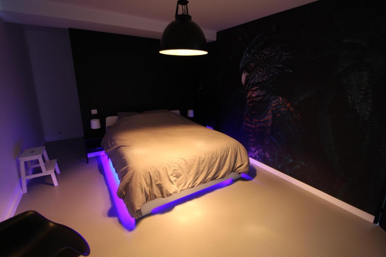 Bienvenue Chez Dalo, Jacuzzi, Art Et Modernite Apartment Altkirch Exterior photo